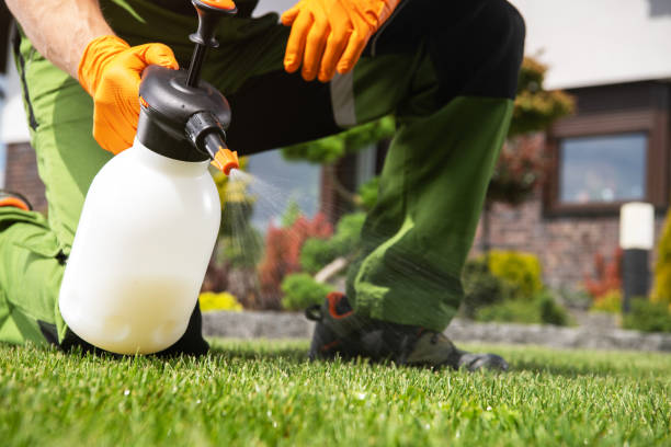 Best Pest Removal Services  in Parma, OH