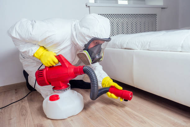 Best Cockroach Control Services  in Parma, OH