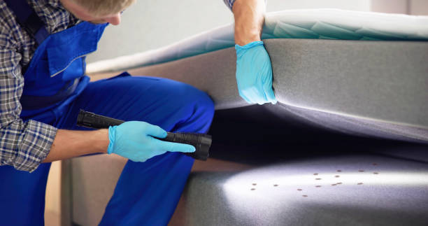 Best Residential Pest Control  in Parma, OH